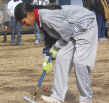 Gateball India